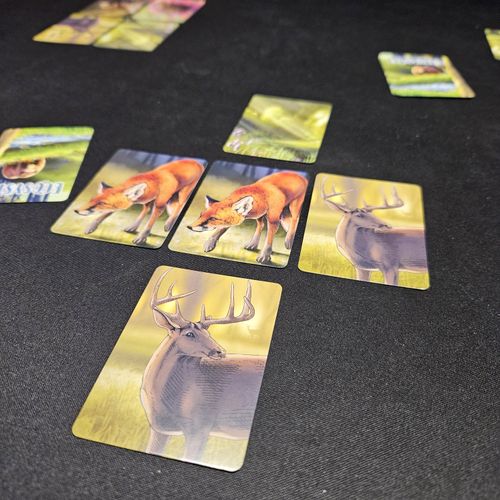Ecosystem - Gameplay