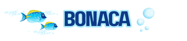 Bonaca