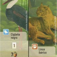 Forest Shuffle: Cigüeña negra / Lince ibérico Promo card