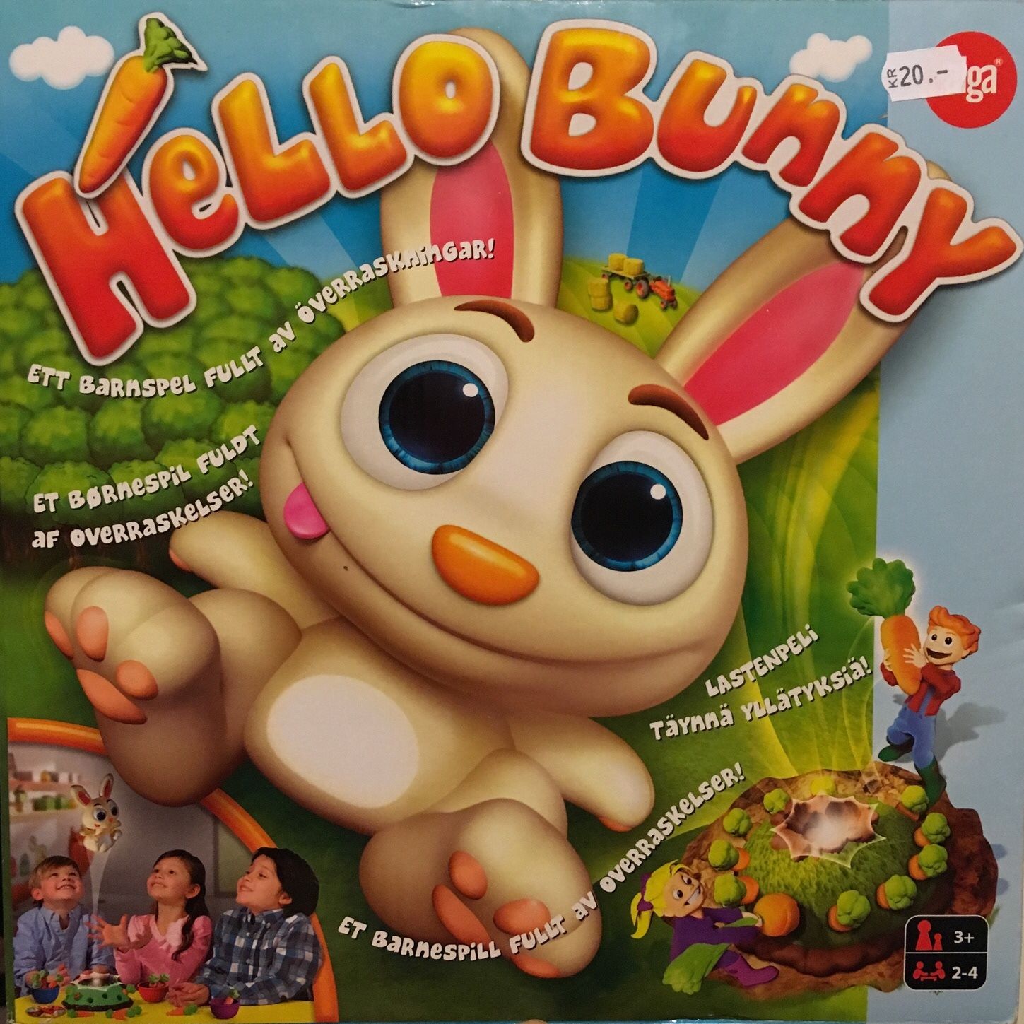 Hello Bunny