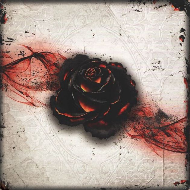Black Rose Wars + Expansions Board Game Insert / Organizer — Tabletop  Terrain
