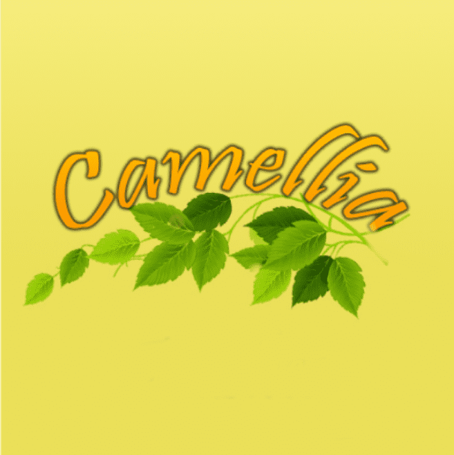 Camellia