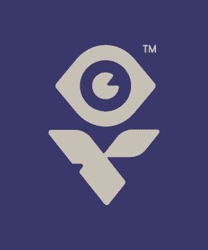 IV Studio