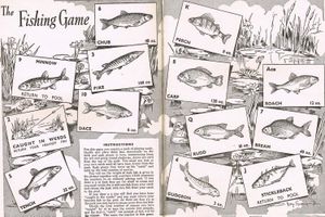 The Fishing Game