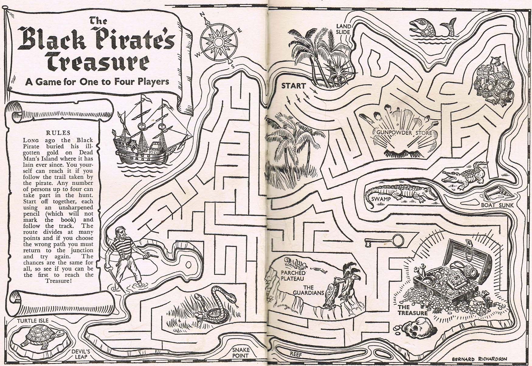 The Black Pirate's Treasure