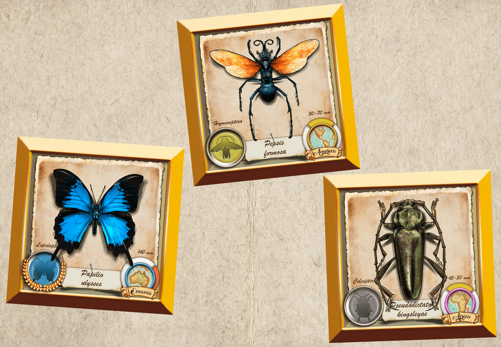 Designer Diary: Insecta: The Ladies of Entomology | BoardGameGeek News