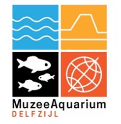 GRUNN: Pioniers in de Provincie – MuzeeAquarium Scenario Promo Card