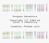 Video Game: Dungeon Adventure