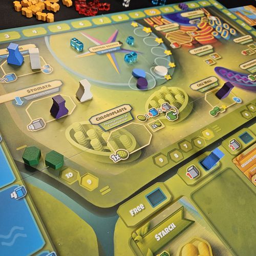 Cellulose - Gameplay