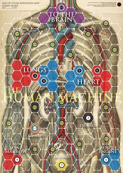 Age of Steam Expansion: Human Body/Synapses cover
