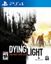Video Game: Dying Light