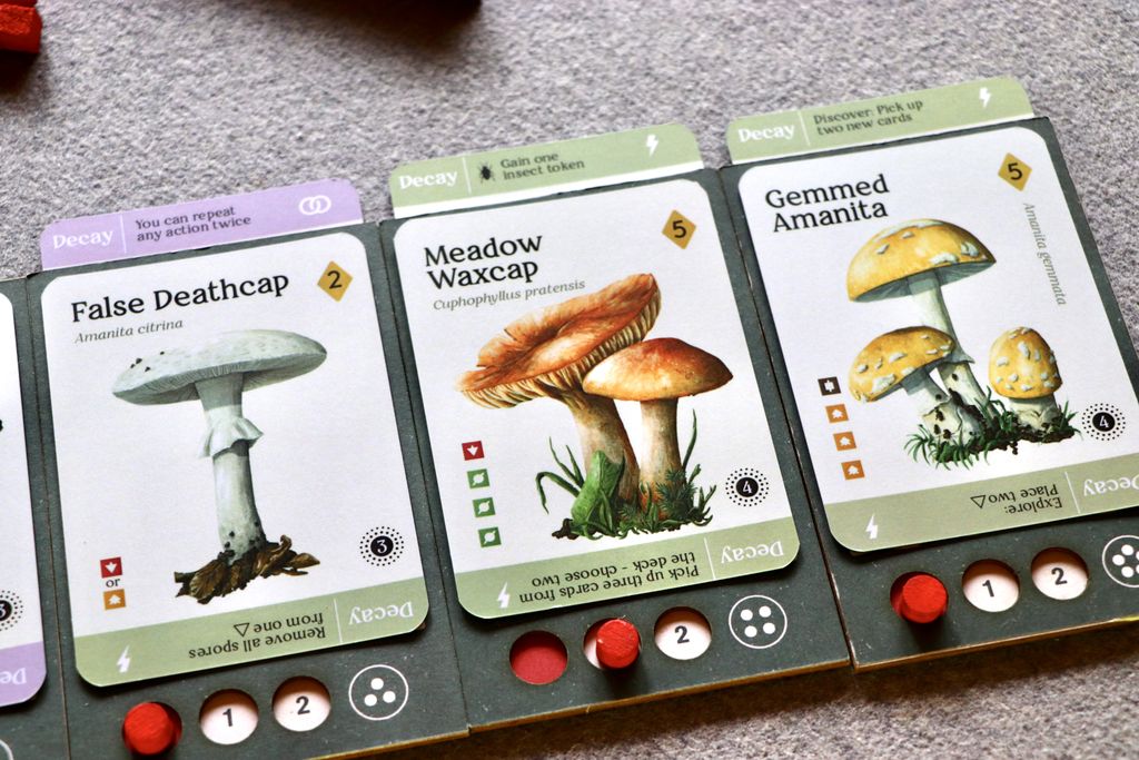 Illustration 10 de Mycelia | The Strategic Mushroom Game
