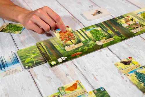The 50 Best Board Games of 2023