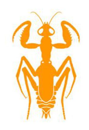 Praying Mantis (fan expansion for Hive)