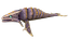 Character: Boneshark