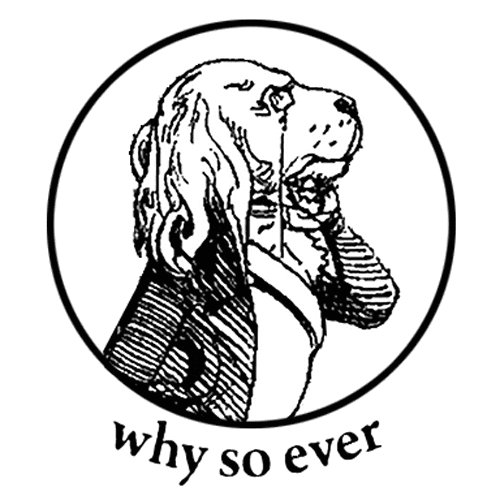 Why So Ever