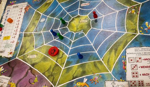 From gallery of punkin312