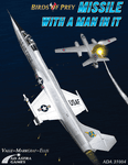 Birds of Prey: Missile With A Man In It