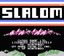 Video Game: Slalom