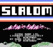 Video Game: Slalom