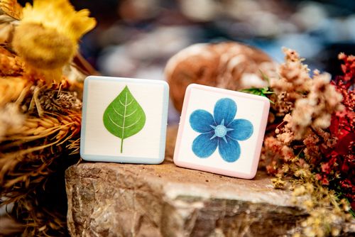 Bidibirdy @ BoardGameColors