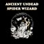 RPG Item: Ancient Undead Spider Wizard