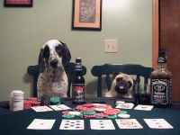 Board Game: Poker