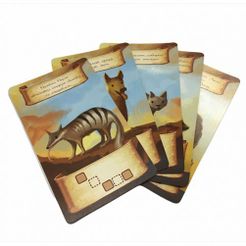 Roam:  Animals Promo Pack