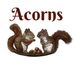 Board Game: Acorns