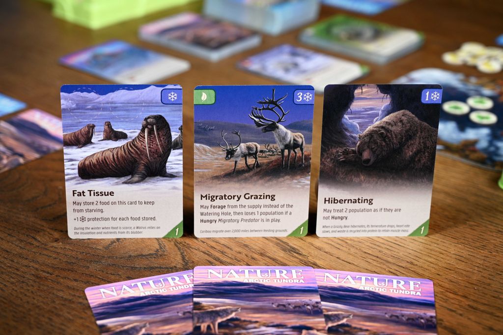 Illustration 6 de Nature: a redesign of the award-winning Evolution board game