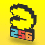 Video Game: Pac-Man 256