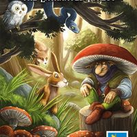 Rune Stones: Enchanted Forest