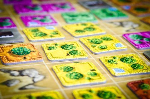 Board Game: Citrus