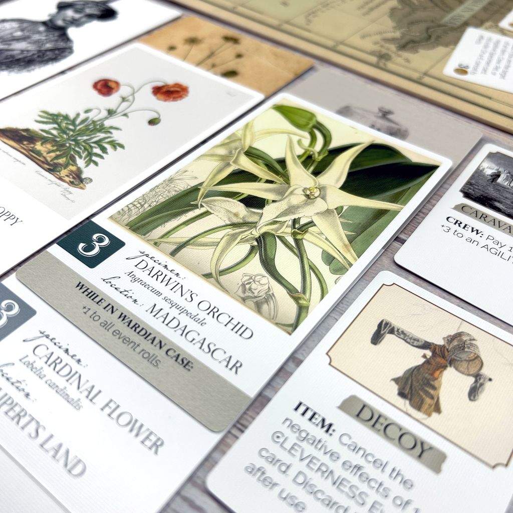 Illustration 11 de BOTANY: Flower Hunting in the Victorian Era