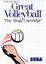 Video Game: Great Volleyball