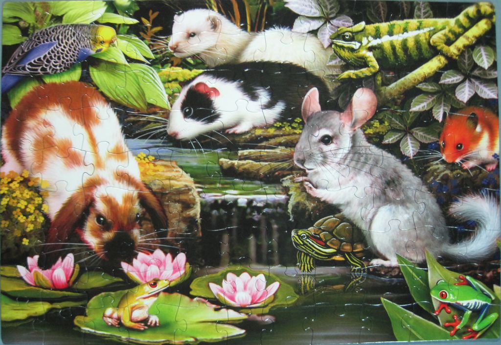 From gallery of Jude