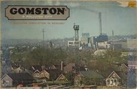 Gomston, A Polluted City