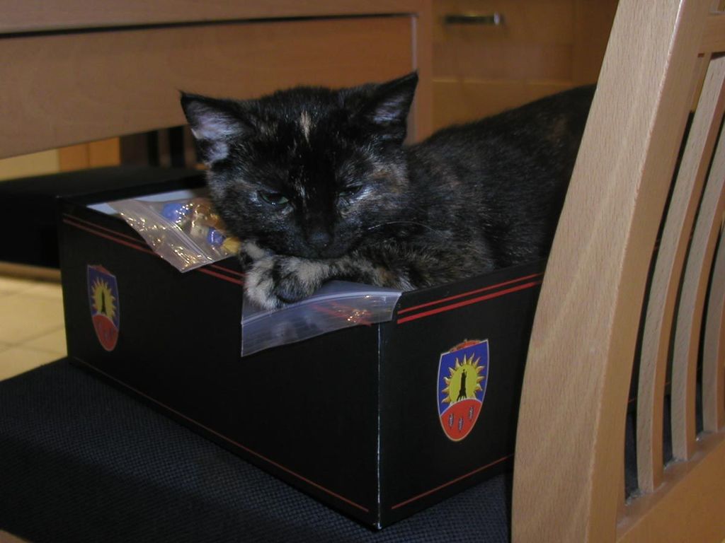 Bild zu Die Sternenfahrer von Catan