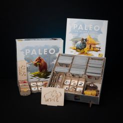 Paleo: Laserox Organizer