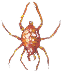 Character: Giant Spider (Castlevania)