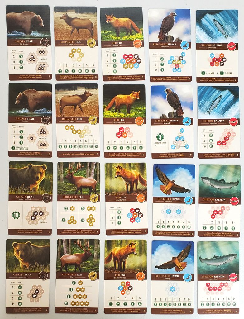 Illustration 9 de Cascadia
