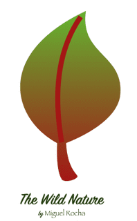 The Wild Nature (fan expansion for Potion Explosion)