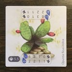 Petrichor: Cactus Promo Tile (2017)