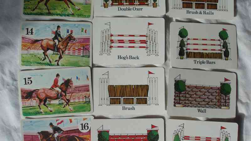 Bryplay Show Jumping