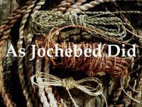 RPG: As Jochebed Did