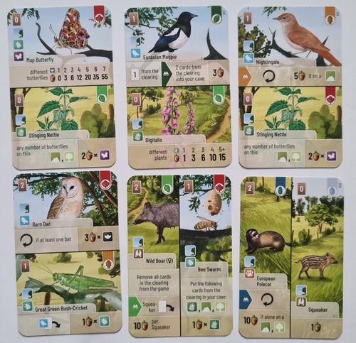 Forest Shuffle: Woodland Edge Expansion Review | Silver Duck Reviews |  BoardGameGeek