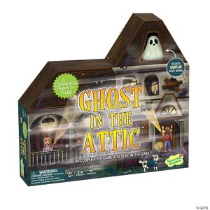 Ghost in the Attic Cooperative Game