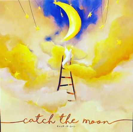 Catch the Moon (One Couple's Review) | Too Many Games