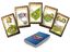 Board Game: Carcassonne: The Gifts