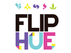 Flip Hue box art